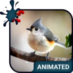 birdy animated keyboard + live wallpaper android application logo